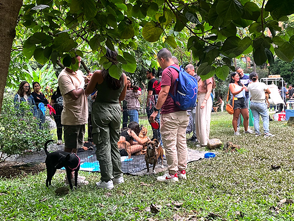 Personas interactuando con perros rescatados en jornada de adopción al aire libre en La Gracia al Parque