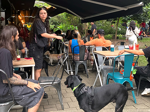 Clientes compartiendo en restaurante petfriendly de Medellín con perros en jornada de adopción