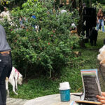 Jornada de adopción en La Gracia al Parque